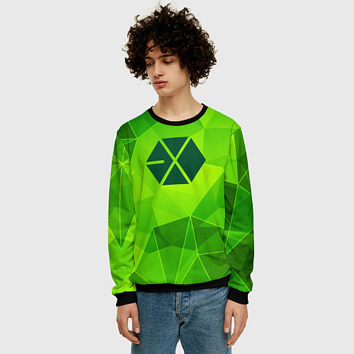 Мужской свитшот Exo green poly / 3D-Черный – фото 3