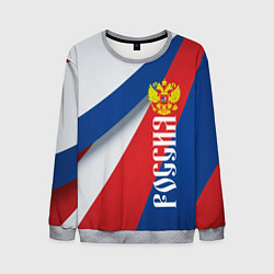 Мужской свитшот Цвета флага России и герб