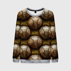 Мужской свитшот Броненосцы