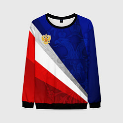 Свитшот мужской Герб России - триколор, цвет: 3D-черный