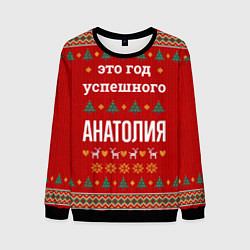 Свитшот мужской Это год успешного Анатолия, цвет: 3D-черный