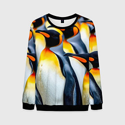 Свитшот мужской Стая пингвинов, цвет: 3D-черный