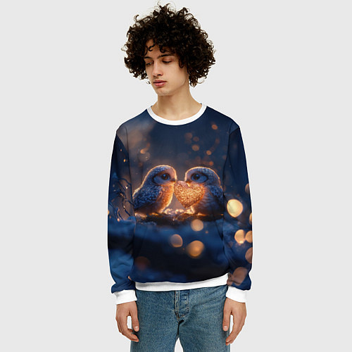 Мужской свитшот Милые влюбленные совушки / 3D-Белый – фото 3