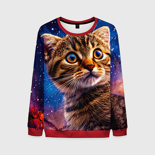 Мужской свитшот Шотландская прямоухая кошка в космосе / 3D-Красный – фото 1