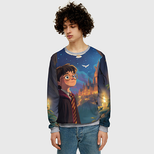 Мужской свитшот Удивленный Гарри Поттер и сова / 3D-Меланж – фото 3