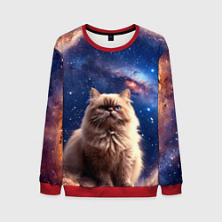 Свитшот мужской Гималайская кошка в космосе, цвет: 3D-красный
