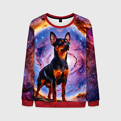 Свитшот мужской Пинчер в космосе, цвет: 3D-красный