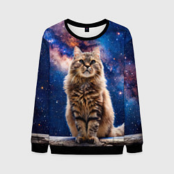 Свитшот мужской Сибирская кошка в космосе, цвет: 3D-черный