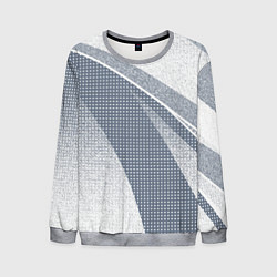 Свитшот мужской Светлый серо-голубой текстурированный с полосой, цвет: 3D-меланж