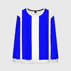 Свитшот мужской Color white blue line, цвет: 3D-белый