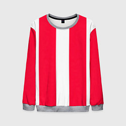 Свитшот мужской Color red white line, цвет: 3D-меланж