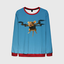 Свитшот мужской Маусини Кводрокоптини мем, цвет: 3D-красный