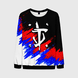 Свитшот мужской Doom триколор краски, цвет: 3D-черный