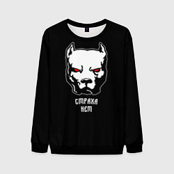 Свитшот мужской Страха нет - Питбуль и кастет, цвет: 3D-черный