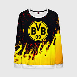 Свитшот мужской Borussia краски соты, цвет: 3D-белый