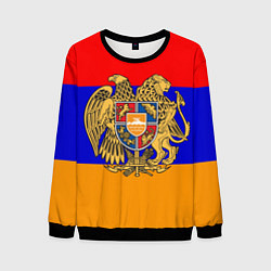 Свитшот мужской Герб и флаг Армении, цвет: 3D-черный