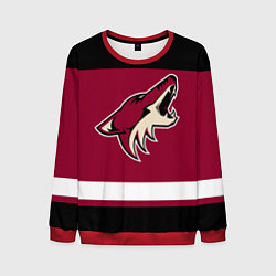 Мужской свитшот Arizona Coyotes