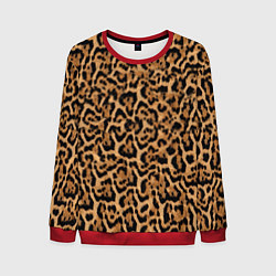 Свитшот мужской Jaguar, цвет: 3D-красный