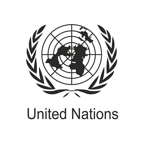Мужской свитшот United Nation / Белый – фото 3