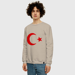 Свитшот хлопковый мужской Турция, цвет: миндальный — фото 2