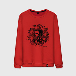 Мужской свитшот Dolphin: Birds