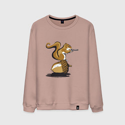 Мужской свитшот Белка с орехом