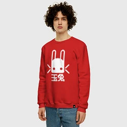 Свитшот хлопковый мужской Destiny Rabbit, цвет: красный — фото 2