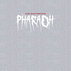 Свитшот хлопковый мужской Pharaoh / Coldsiemens, цвет: меланж — фото 2