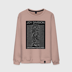 Свитшот хлопковый мужской Joy Division: Unknown Pleasures, цвет: пыльно-розовый