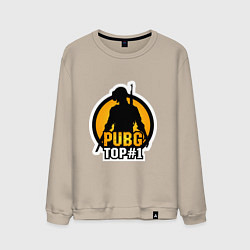 Мужской свитшот PUBG Top 1