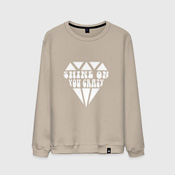 Свитшот хлопковый мужской Shine on you crazy, цвет: миндальный