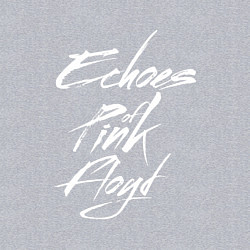 Свитшот хлопковый мужской Echoes of Pink Floyd, цвет: меланж — фото 2