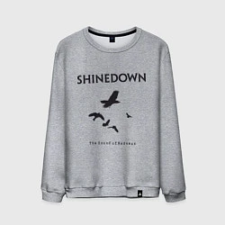 Мужской свитшот Shinedown: Sound of Madness