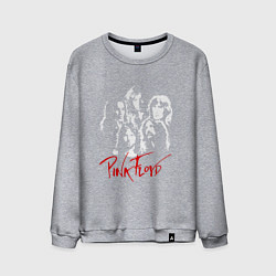 Мужской свитшот Pink Floyd