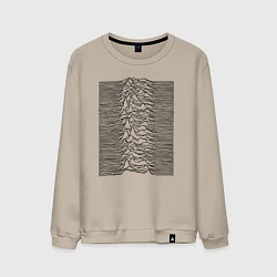 Мужской свитшот Unknown Pleasures