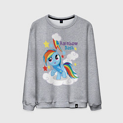 Свитшот хлопковый мужской Rainbow Dash, цвет: меланж