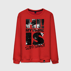 Мужской свитшот My name is slim shady