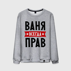 Свитшот хлопковый мужской Ваня всегда прав, цвет: меланж