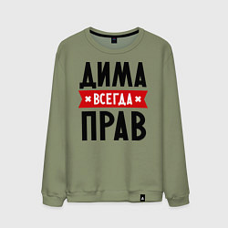 Мужской свитшот Дима всегда прав