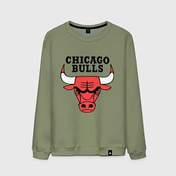 Мужской свитшот Chicago Bulls