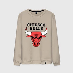 Мужской свитшот Chicago Bulls