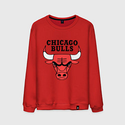 Мужской свитшот Chicago Bulls