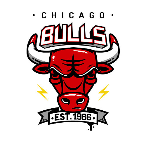 Мужской свитшот Chicago Bulls est. 1966 / Белый – фото 3