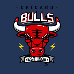 Свитшот хлопковый мужской Chicago Bulls est. 1966, цвет: тёмно-синий — фото 2