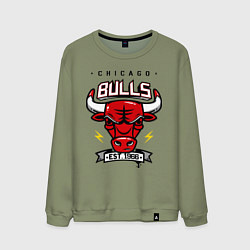 Свитшот хлопковый мужской Chicago Bulls est. 1966, цвет: авокадо