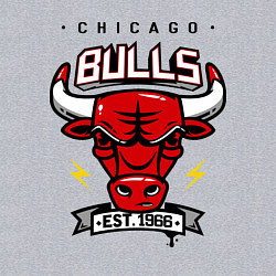 Свитшот хлопковый мужской Chicago Bulls est. 1966, цвет: меланж — фото 2