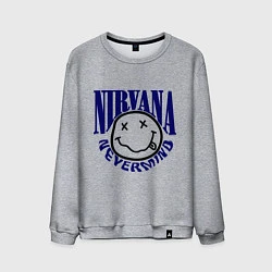 Мужской свитшот Nevermind Nirvana
