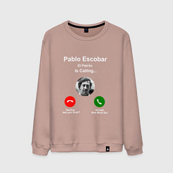Мужской свитшот Escobar is calling