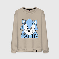Мужской свитшот Соник