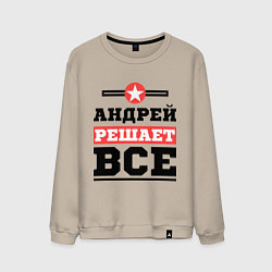 Мужской свитшот Андрей решает все